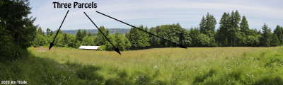 Fineview Panorama