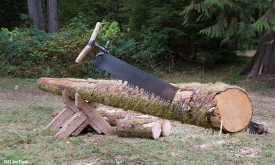 25' long log