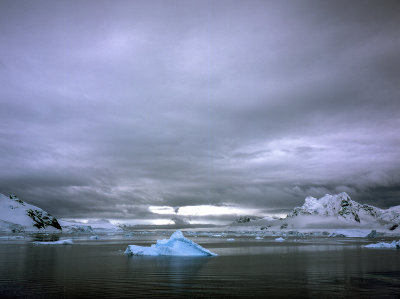 Antarctic Peninsula Fujichrome 2017-5-2.jpg