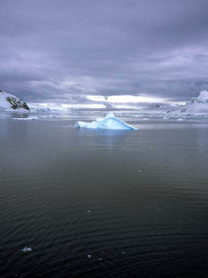 Antarctic Peninsula Fujichrome 2017-6-2.jpg