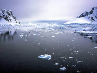 Antarctic Peninsula Fujichrome 2017-9-2.jpg