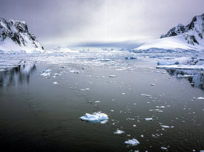 Antarctic Peninsula Fujichrome 2017-13-2.jpg