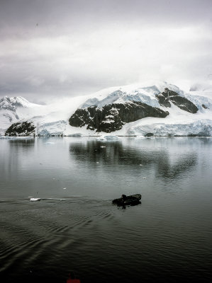 Antarctic Peninsula Fujichrome 2017-15.jpg