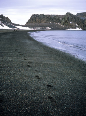 Antarctic Peninsula Fujichrome 2017-25.jpg