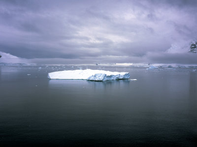 Antarctic Peninsula Fujichrome 2017-8-2.jpg