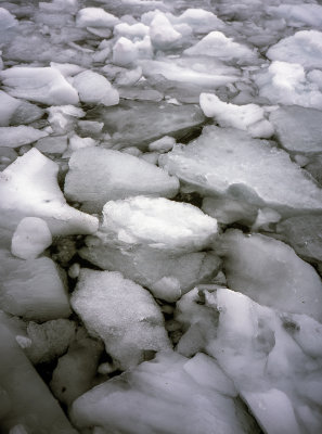 Antarctic Peninsula Fujichrome 2017-23.jpg