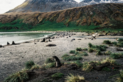 Antarctic 2019-2.jpg