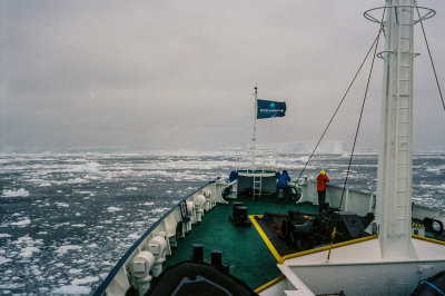 Antarctic 2019-3.jpg