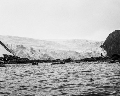 Antarctic 2019-20.jpg