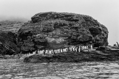 Antarctic 2019-31.jpg