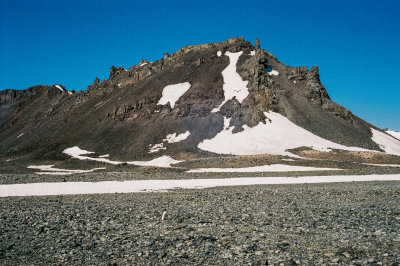 Antarctic 2019-53.jpg