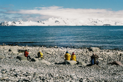 Antarctic 2019-56.jpg