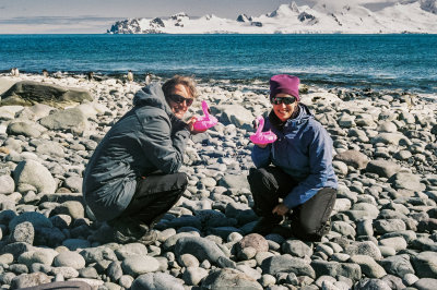 Antarctic 2019-61.jpg