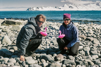 Antarctic 2019-62.jpg