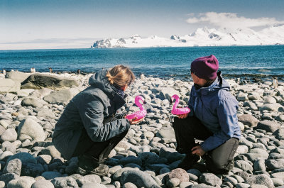 Antarctic 2019-63.jpg