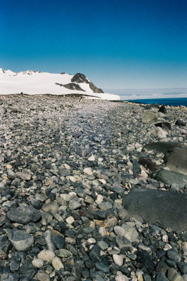 Antarctic 2019-64.jpg
