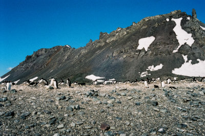 Antarctic 2019-69.jpg