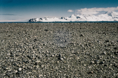 Antarctic 2019-70.jpg