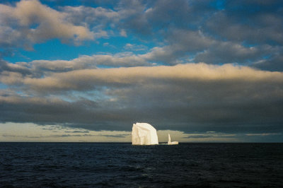 Antarctic 2019-72.jpg