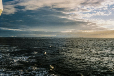 Antarctic 2019-74.jpg