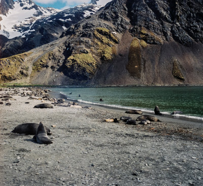 Antarctic 2019-83.jpg