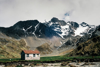 Antarctic 2019-92.jpg
