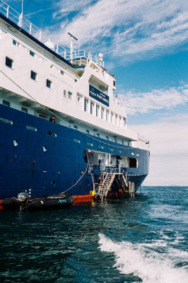 Antarctic 2019-103.jpg