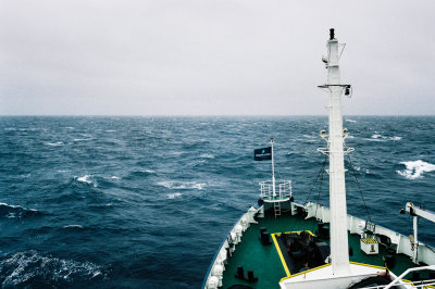 Antarctic 2019-109.jpg