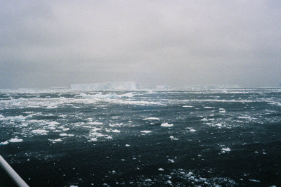 Antarctic 2019-115.jpg