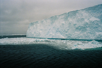 Antarctic 2019-117.jpg