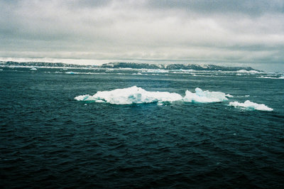 Antarctic 2019-119.jpg