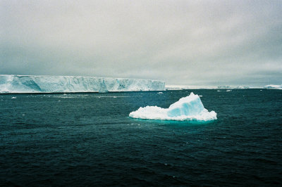 Antarctic 2019-120.jpg