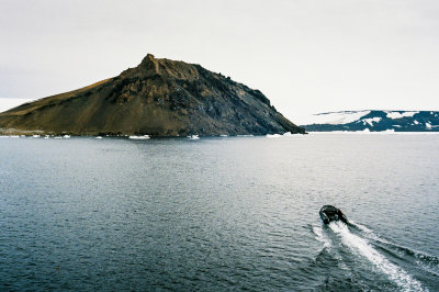 Antarctic 2019-125.jpg