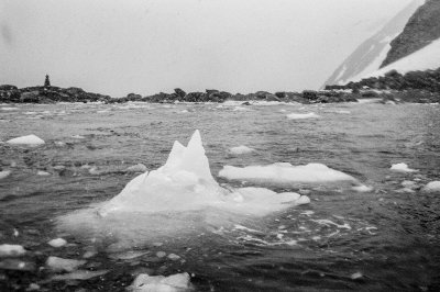 Antarctic 2019-133.jpg