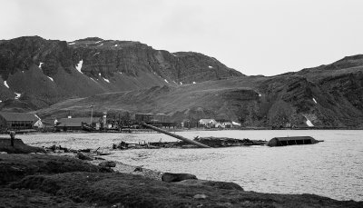 Antarctic 2019-150.jpg