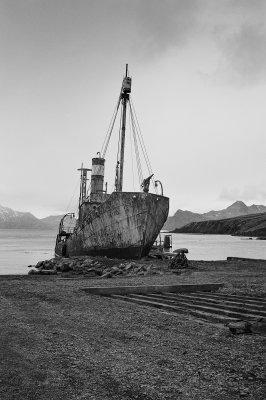 Antarctic 2019-153.jpg