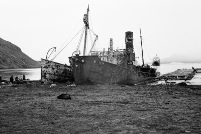 Antarctic 2019-158.jpg