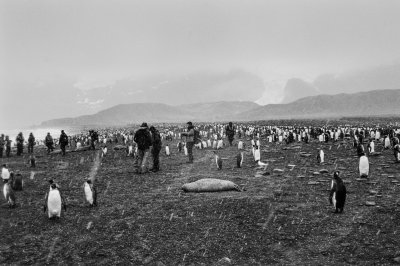 Antarctic 2019-171.jpg
