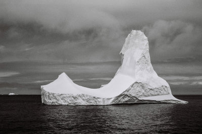 Antarctic 2019-182.jpg