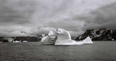 Antarctic 2019-183.jpg