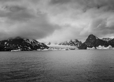 Antarctic 2019-185.jpg