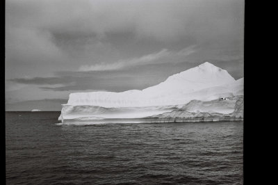Antarctic 2019-186.jpg