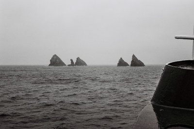 Antarctic 2019-187.jpg