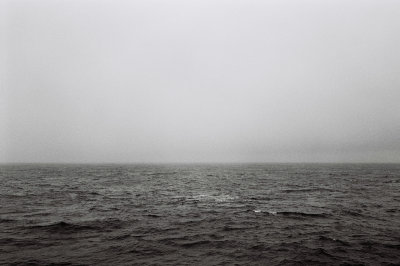 Antarctic 2019-191.jpg
