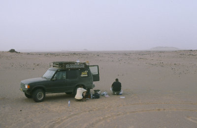 discovery.north.mauritania.jpg