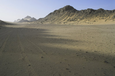 Mauritanian.desert.jpg