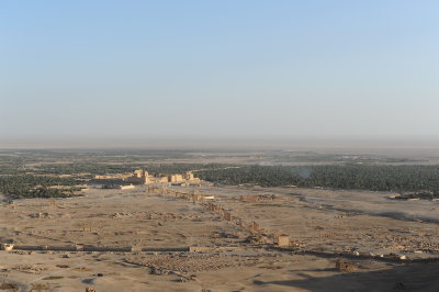 The ruins of palmyra with the date palms in the background.JPG