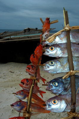 fish drying misali 2005.jpg