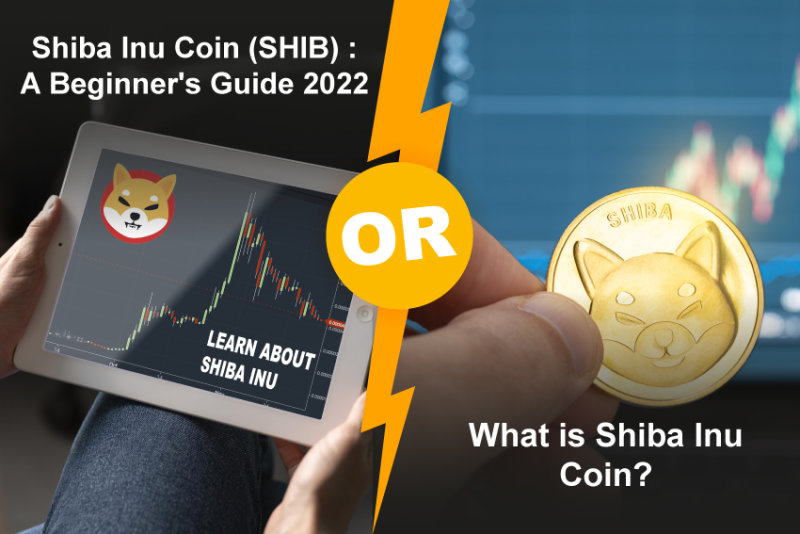 Shiba Inu Price Prediction 2030
