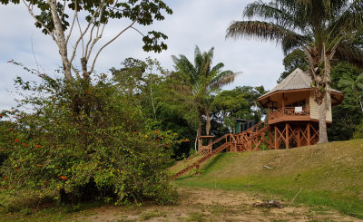 Kabalebo